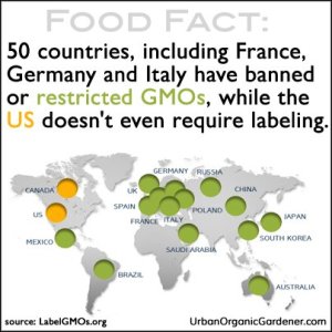 GMO-labelling